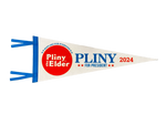 Pliny for President 2024 Pennant