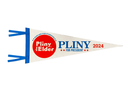 Pliny for President 2024 Pennant