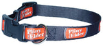Pliny the Elder Dog Collar