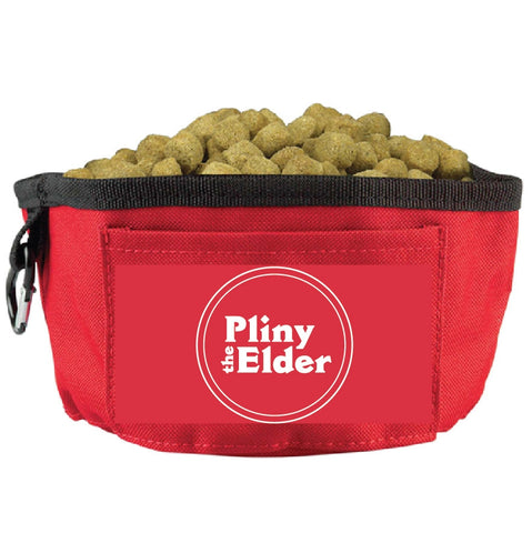 Pliny the Elder Dog Bowl